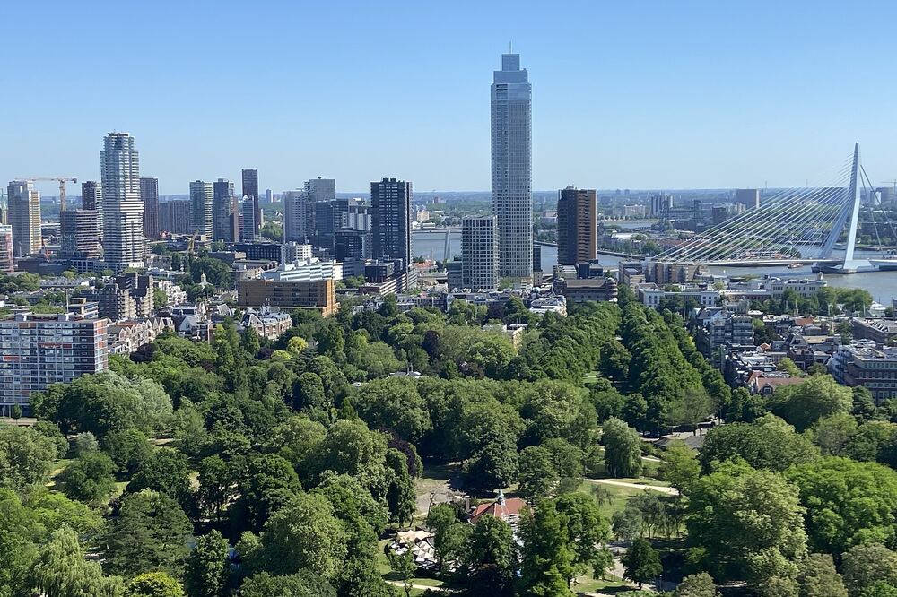 De skyline van Rotterdam met de Erasmusbrug, gezien over het groen