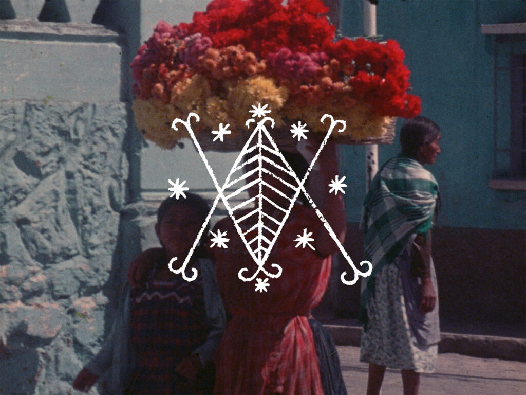 Deborah Stratman Art Film Shorts in Rotterdam