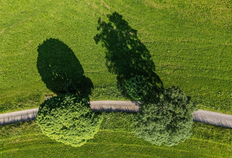De Nachtdiersymfonie — luisterwandeling door het Kralingse Bos — natuur in Rotterdam