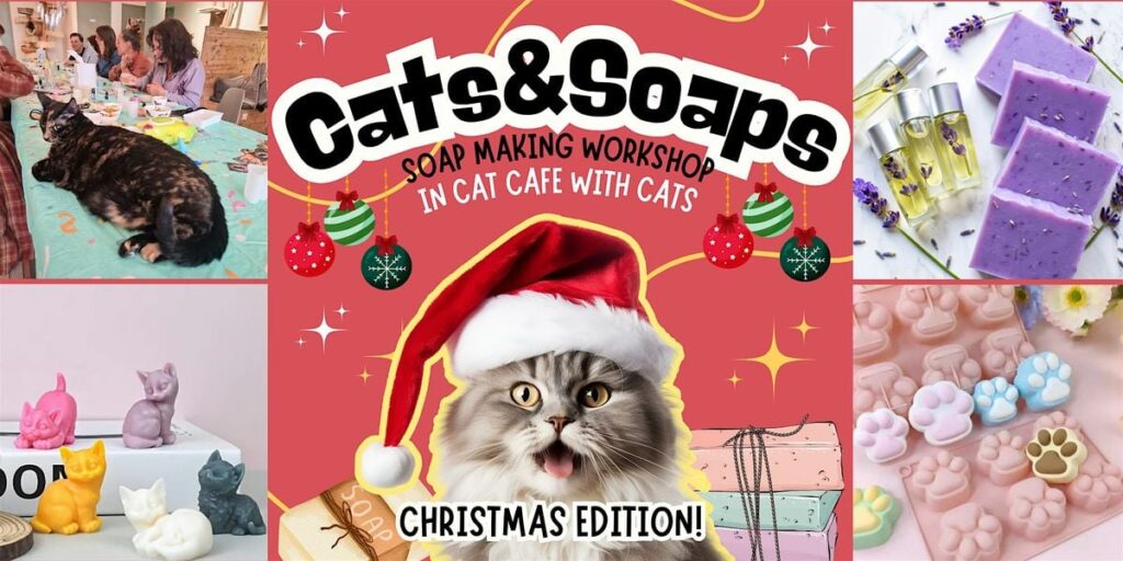 Cats&ampSoaps – Soap Making Workshop with Cats in cat cafe – Christmas in Rotterdam